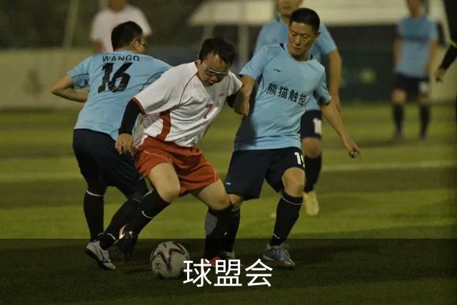 球盟会公司简介图片